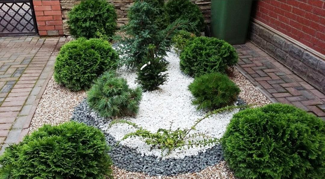 Ранили Тош  Галька Рангбаранг Ок Кизил Кора Буяб Бериш TOSHKENT Xorazm  Viloyat Вилоят Narxi Dostavka Оптом Чакана Optom Chakana Styajka 2023 Yil 