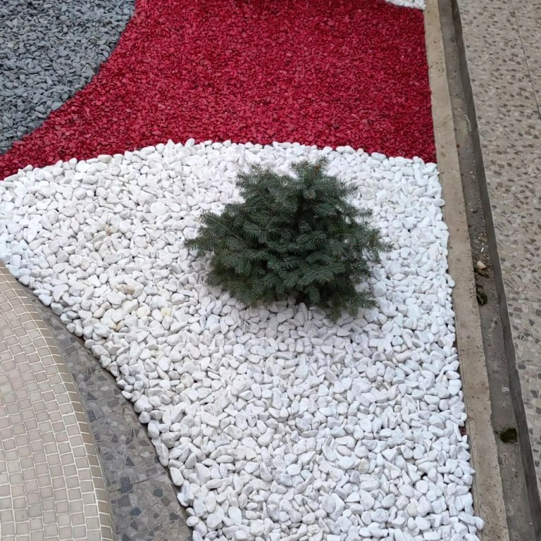 Декор Камень Для Облицовки Фундамента  TASHKENT Фаргона  Viloyat Вилоят Narxi Dostavka Оптом Чакана Optom Chakana Styajka 2023 Yil 