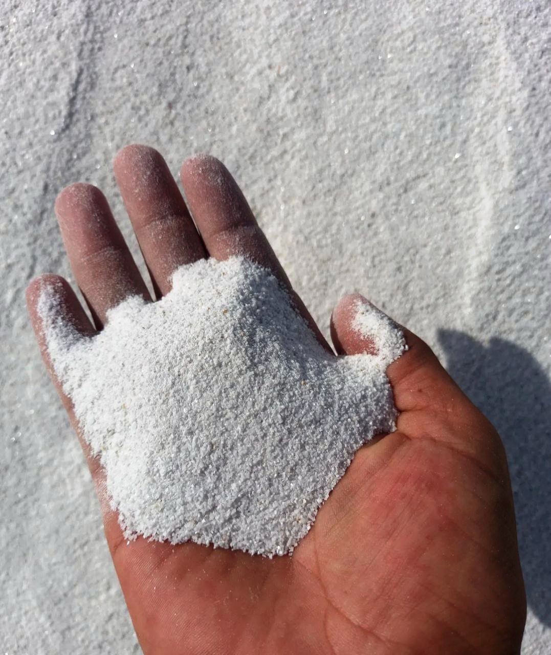 Известняк Ракушечник Декоративный Цветной Камень ТАШКЕНТ Farg’Ona  Viloyat Вилоят Narxi Dostavka Оптом Чакана Optom Chakana Styajka 2023 Yil 