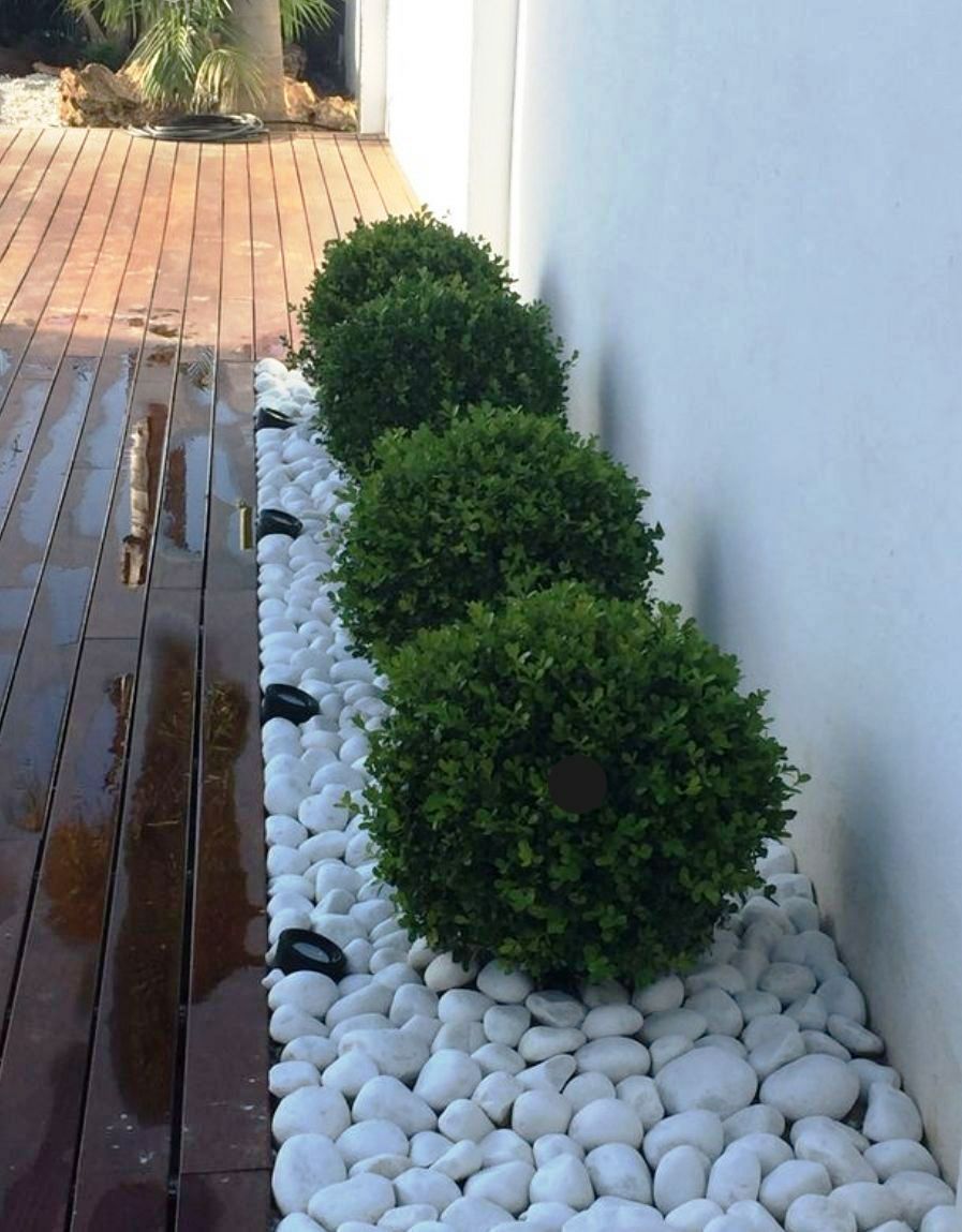 Gabion Dekor Tosh  Buluga ТАШКЕНТ Qashqadaryo  Viloyat Вилоят Narxi Dostavka Оптом Чакана Optom Chakana Styajka 2023 Yil 